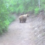 This is just before he ran off to the right.