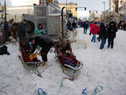 A view of the "chute" at the ceremonial start of the Iditarod.
