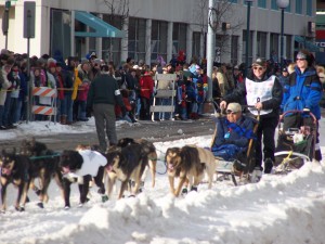 fourth ave Iditarod musher on 4th Avenue