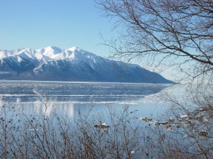View of Turnagain Arm the week of the Iditarod