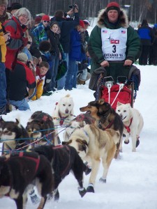 Iditarod musher departs Willow for Nome