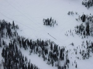 Iditarod musher races to Rainy Pass