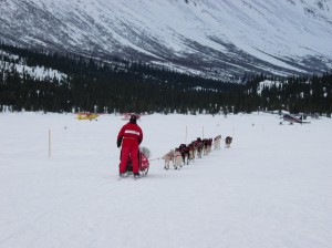 Iditarod musher leaves checkpoint